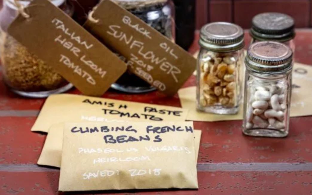 seed bank