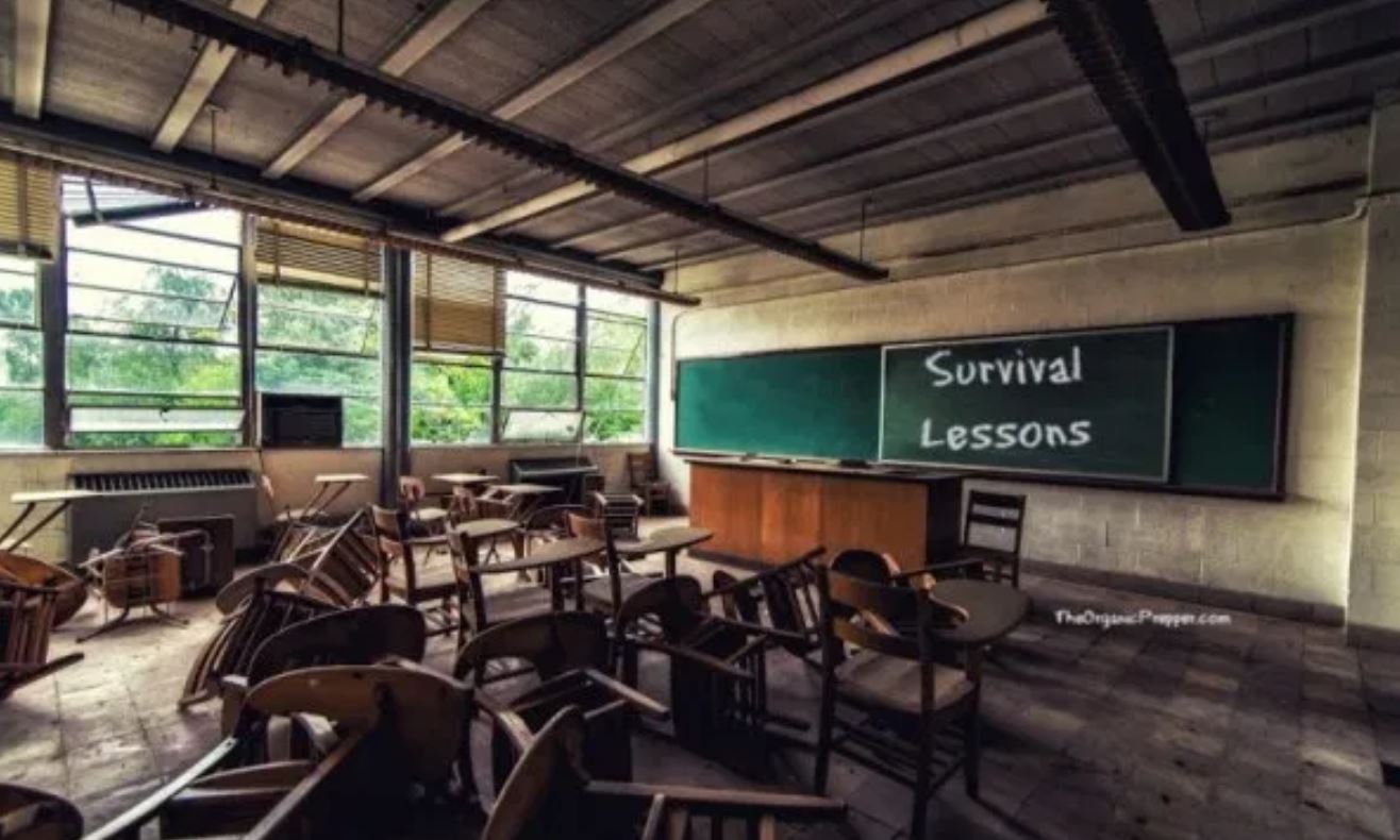 survival lessons op survival lessons op