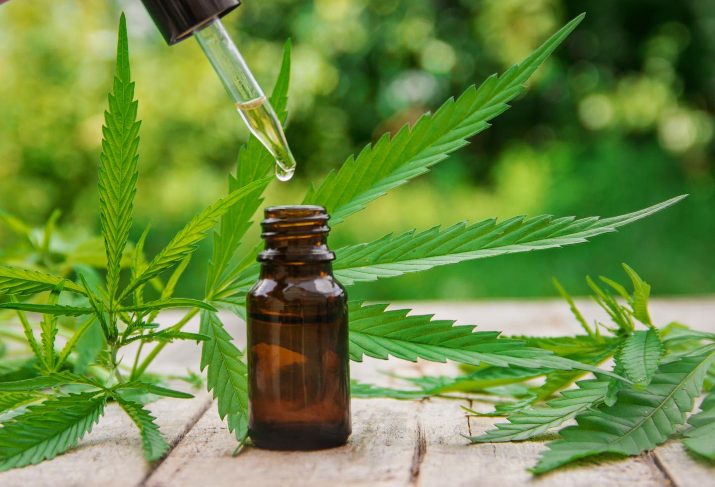 CBD cannabidiol oil