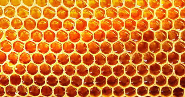 Honeycomb background Honeycomb background