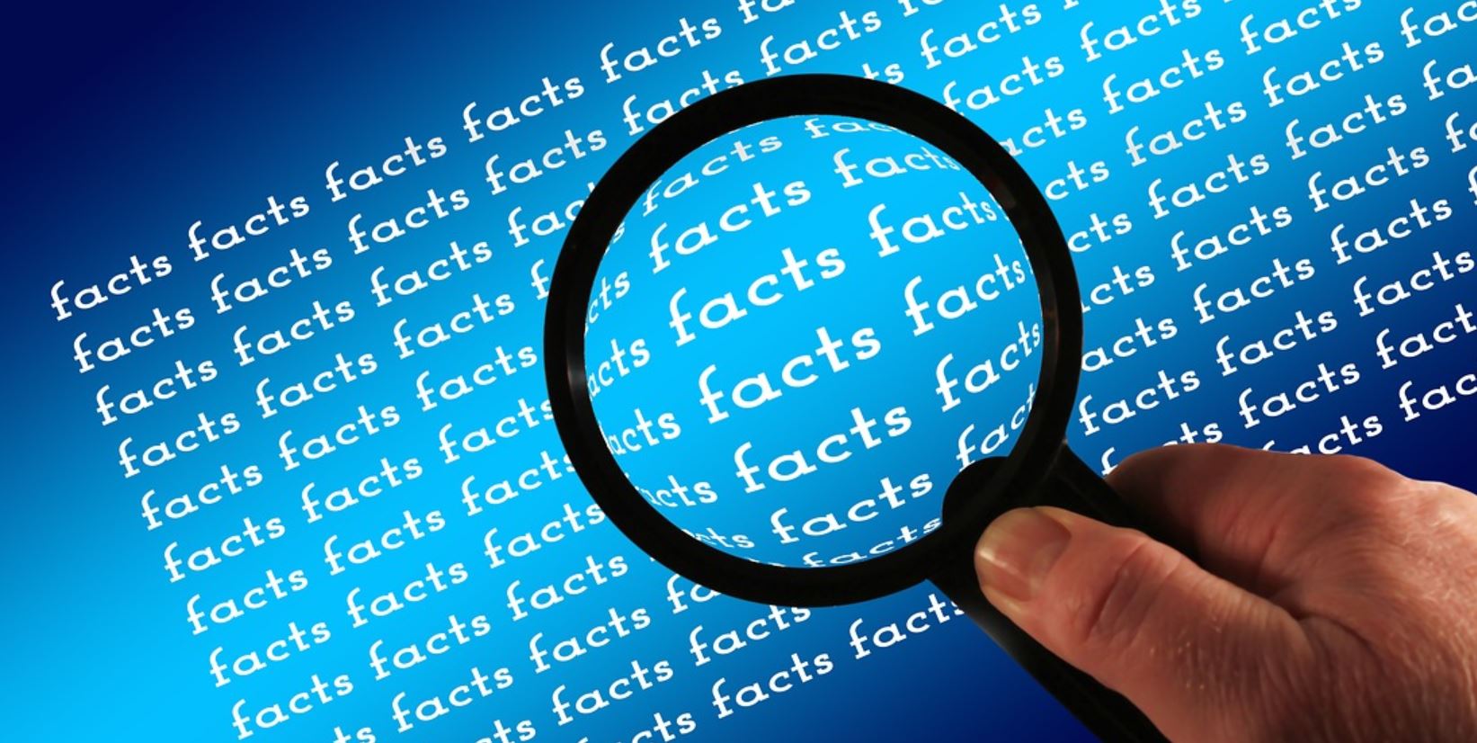 facts pixabay facts pixabay