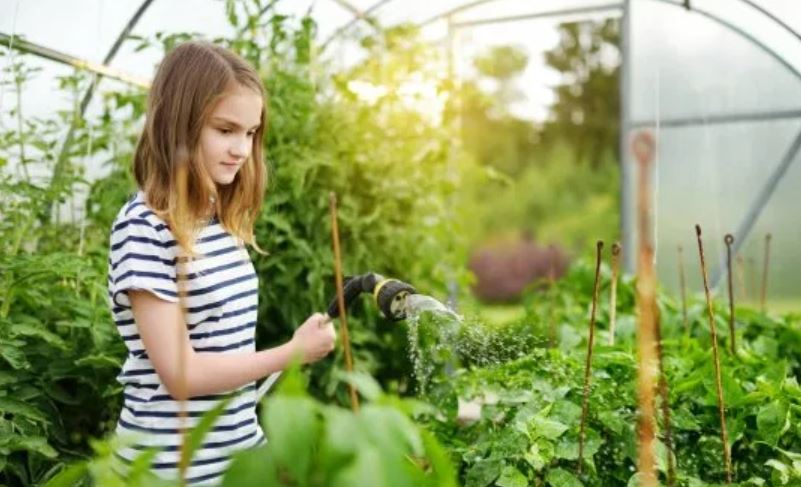 8 Important Things To Do On The Homestead This Summer