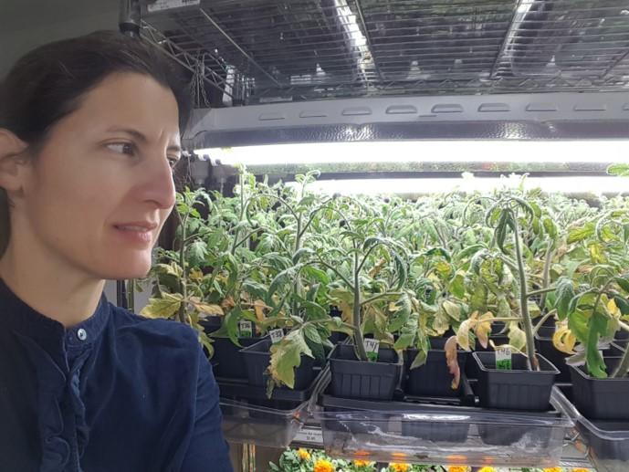 human waste to grow plants human waste to grow plants