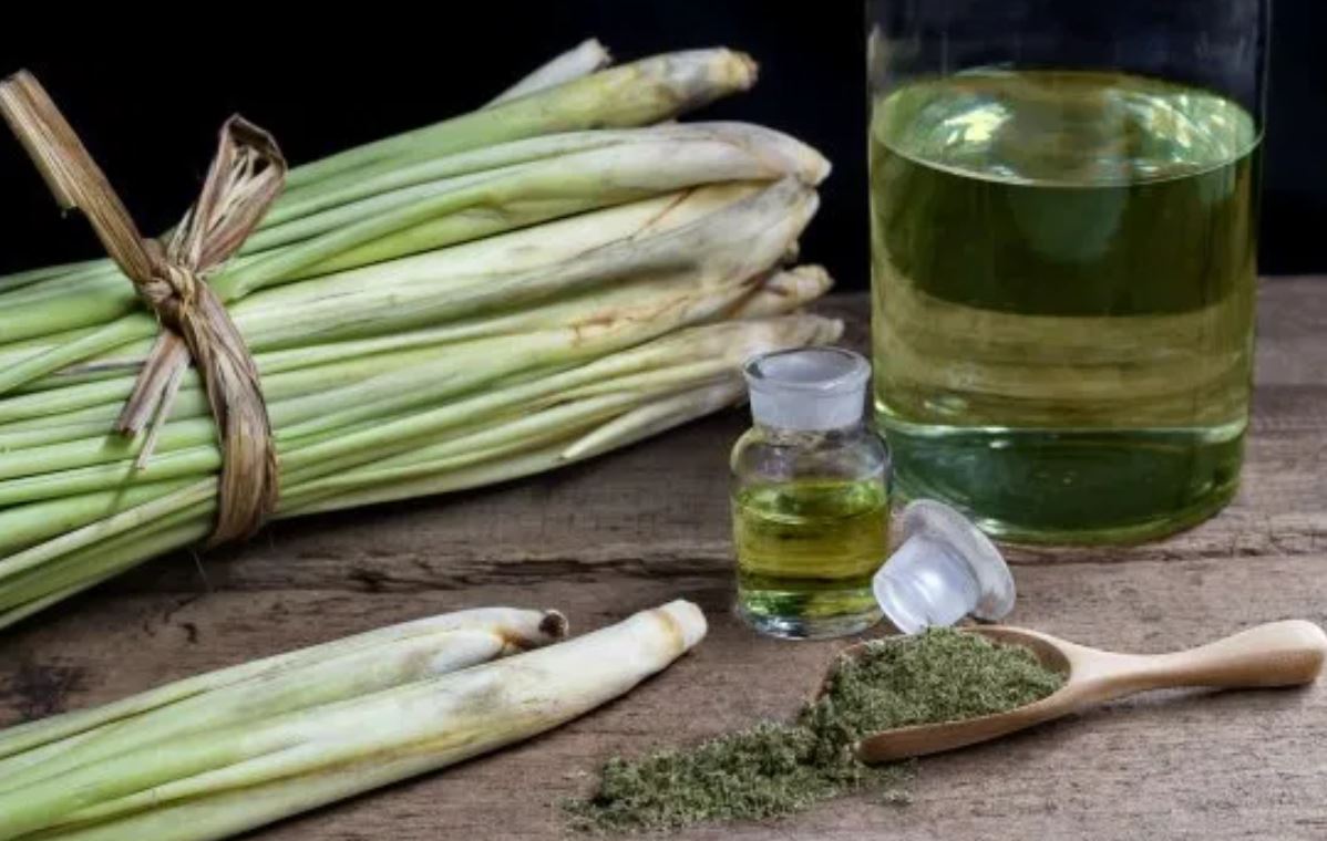lemongrass rn lemongrass rn