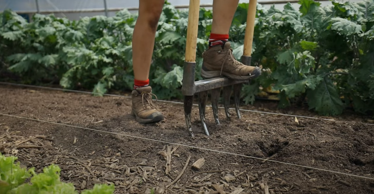 organic_gardening