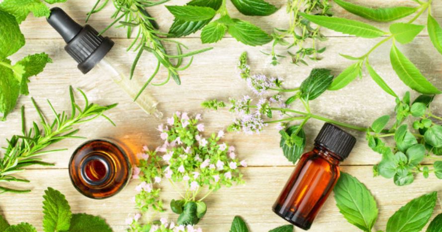 essential oils GMI