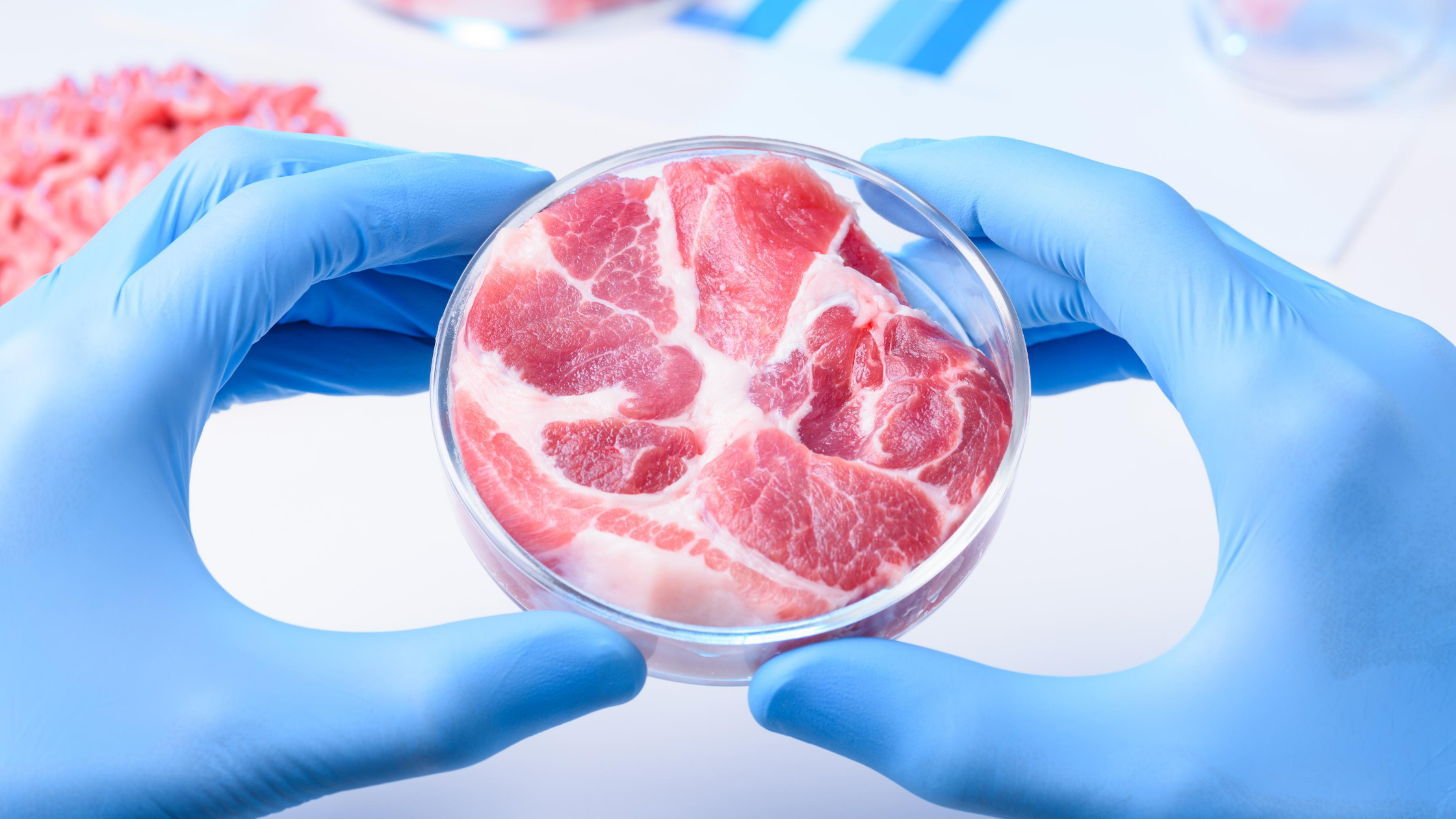 lab grown fake meat lab grown fake meat
