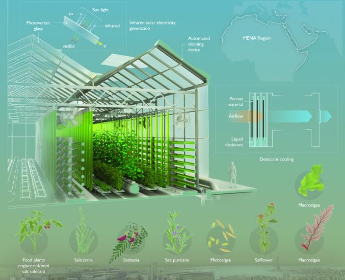 desert greenhouse
