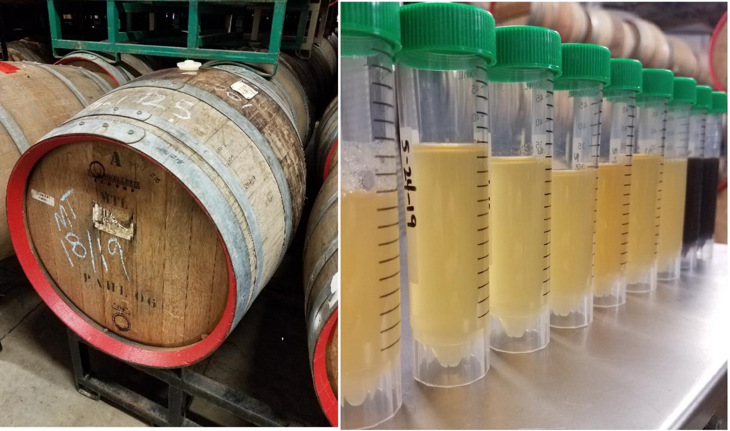 how sour beer is made