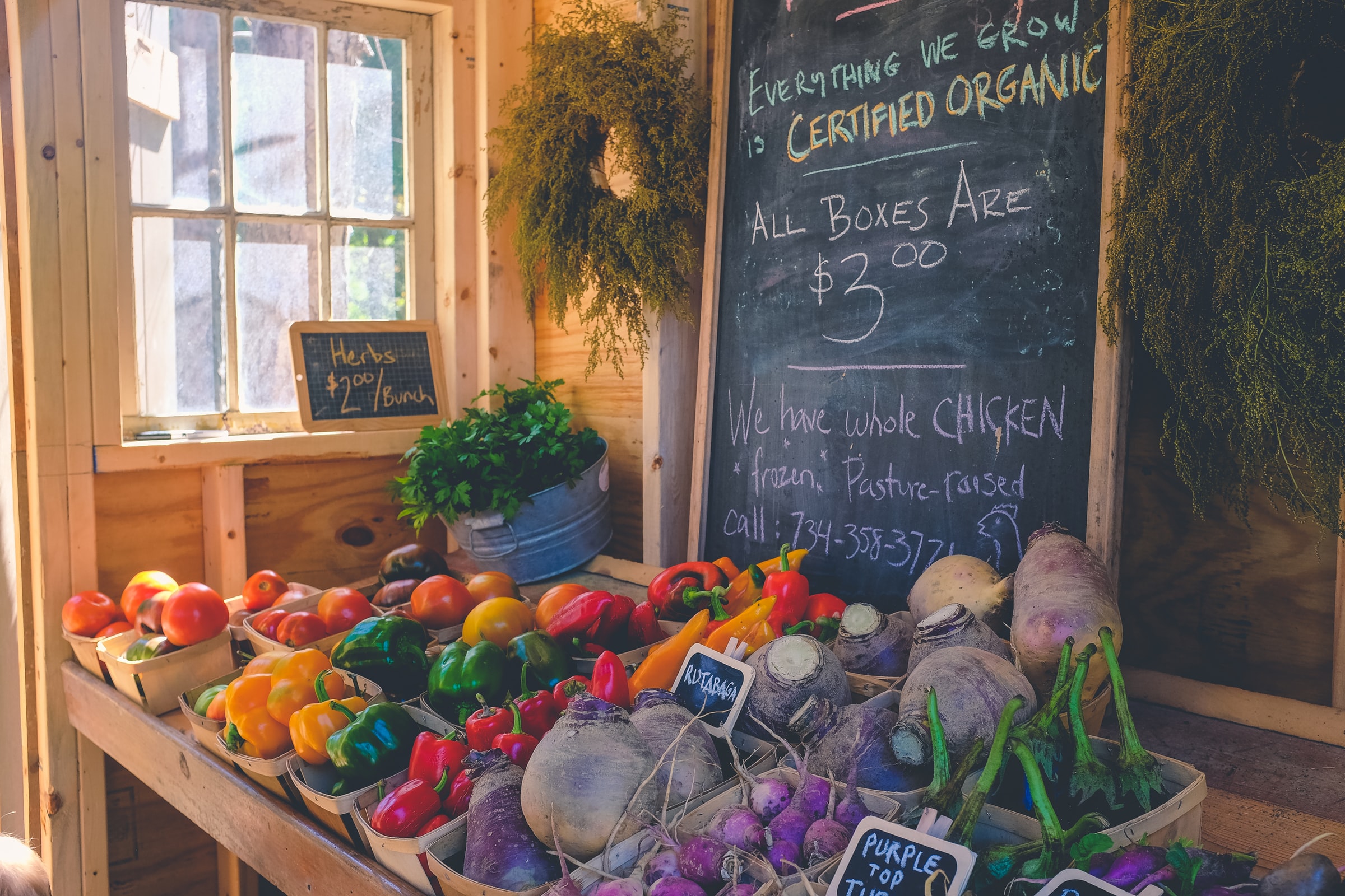 organic garden stand