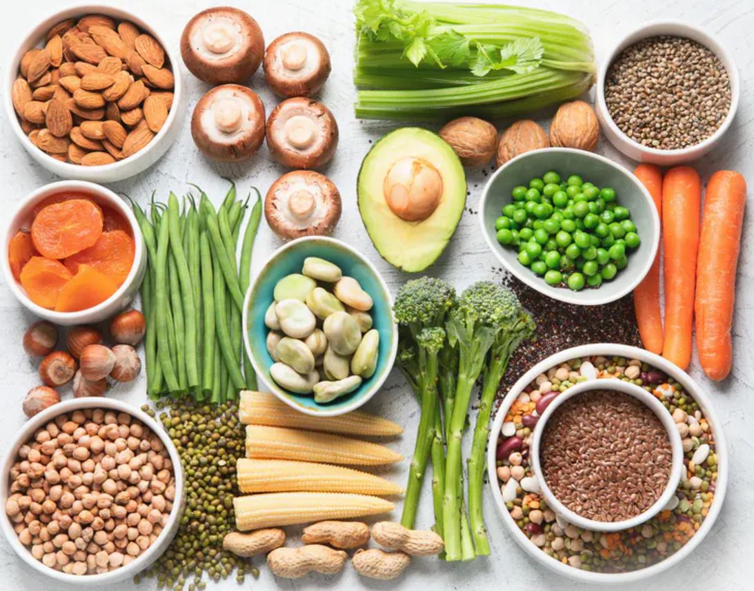 plant diet conversation