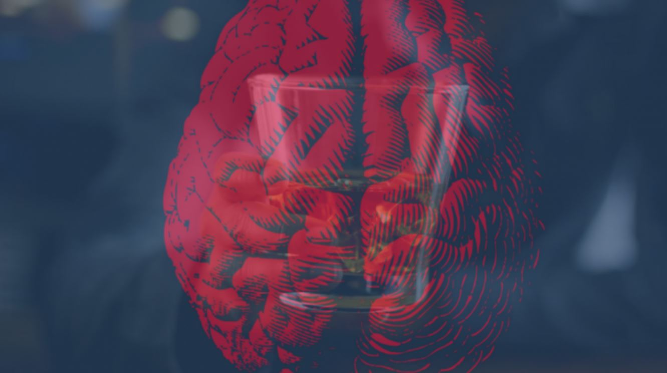 brain alcohol tmu