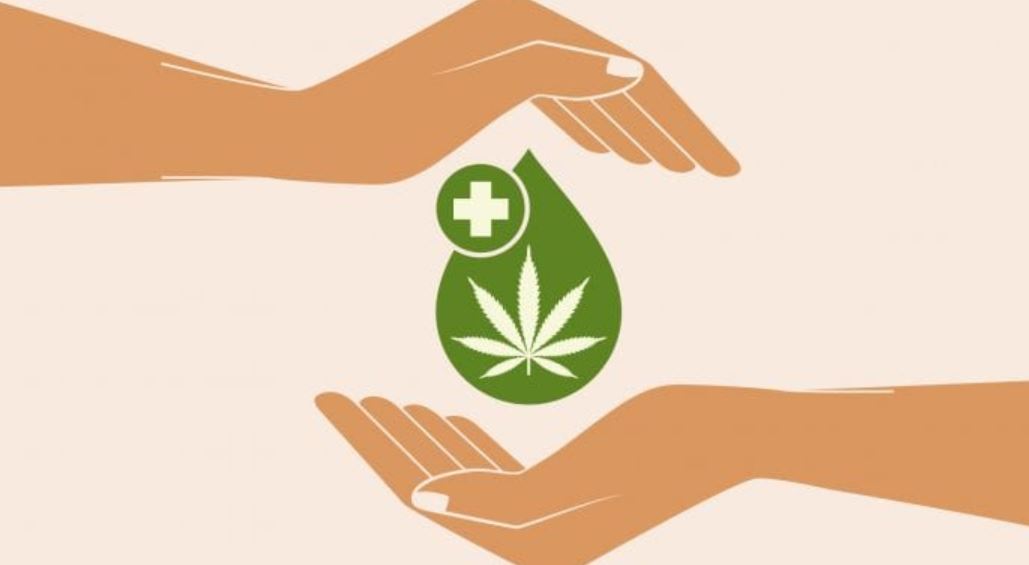 cannabis immune system cannabis immune system