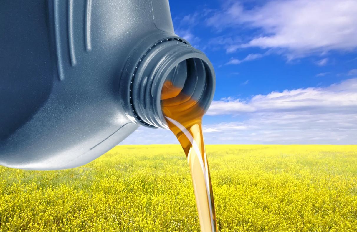 canola oil tt