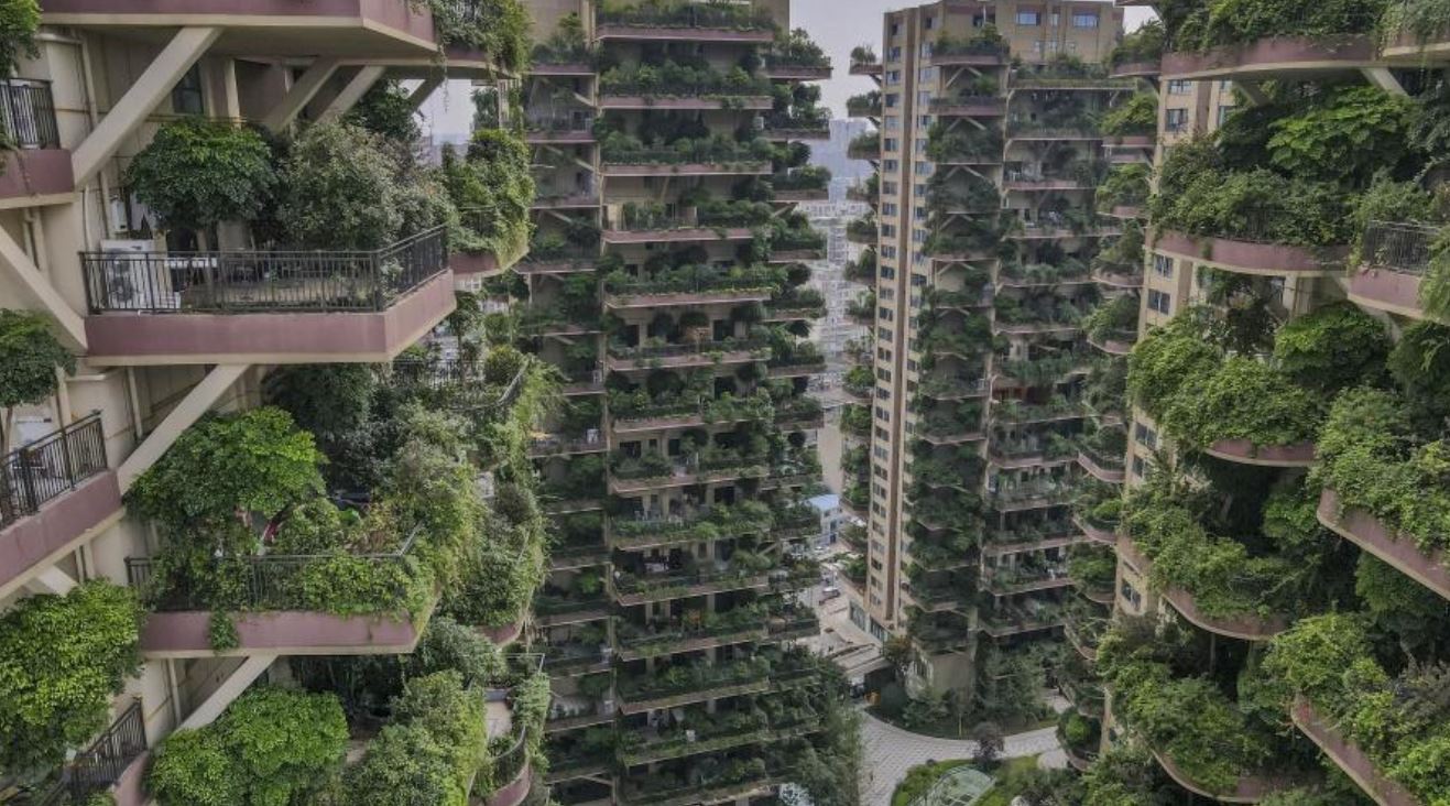 china vertical forest TMU