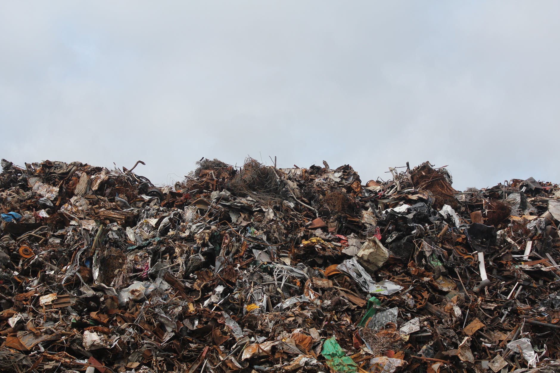 foodwaste