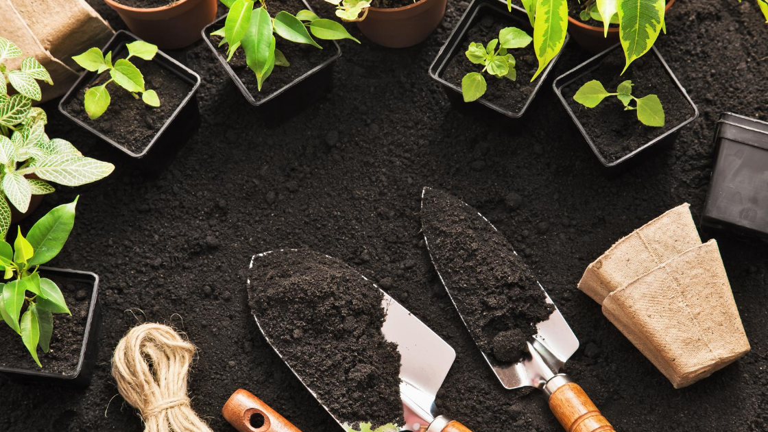 gardening starts