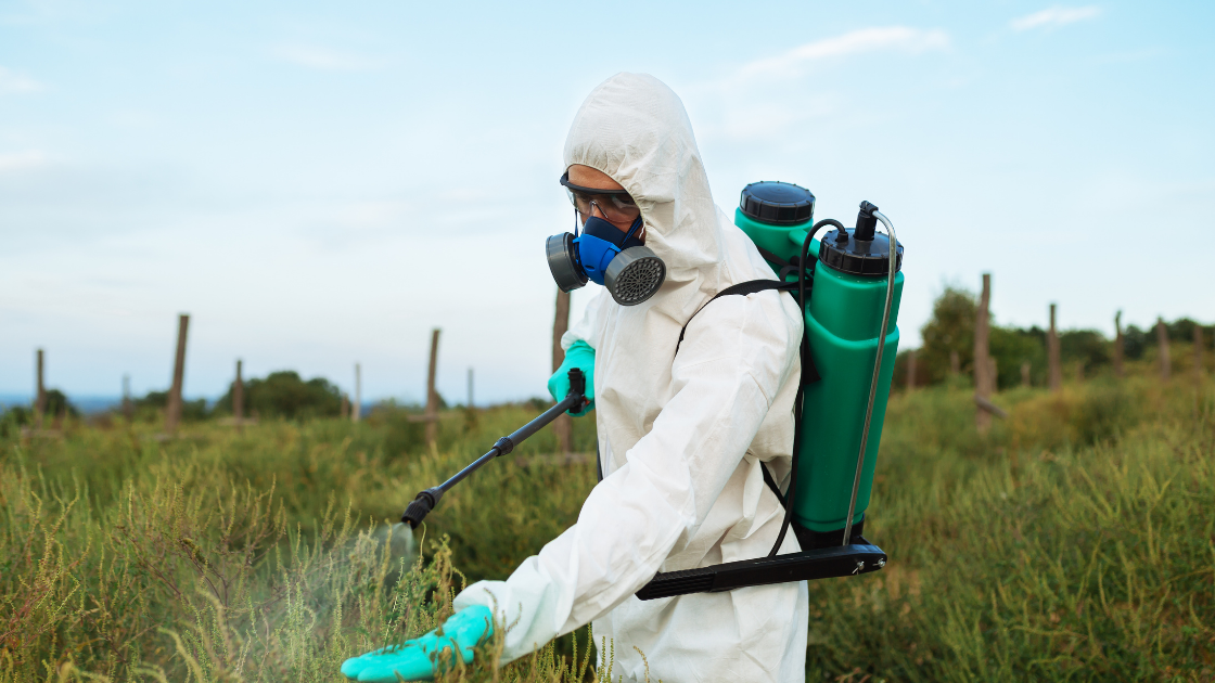 pesticides insecticides herbicides