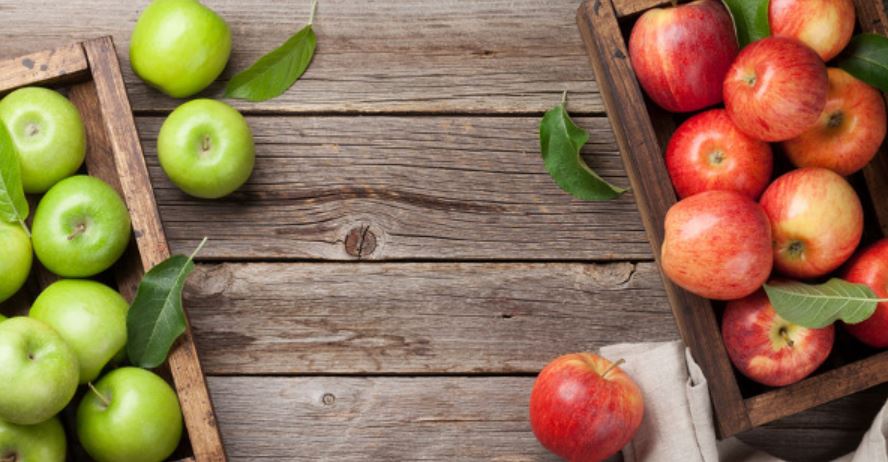 two apples GMI