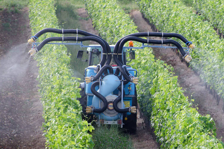 Chlorpyrifos