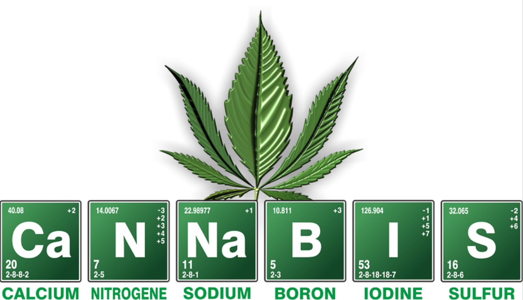 cannabis boskey