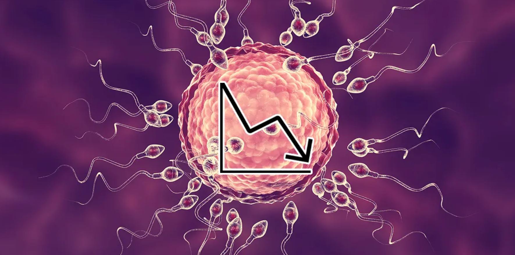 fertility tt fertility tt