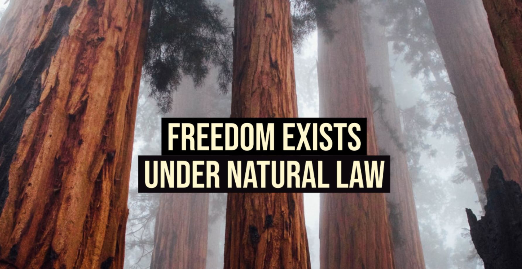 freedom law freedom law