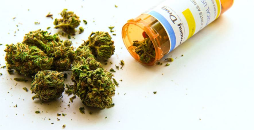 medical cannabis GMI