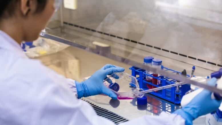 scientists-creating-shrimp-777x437 scientists-creating-shrimp-777x437