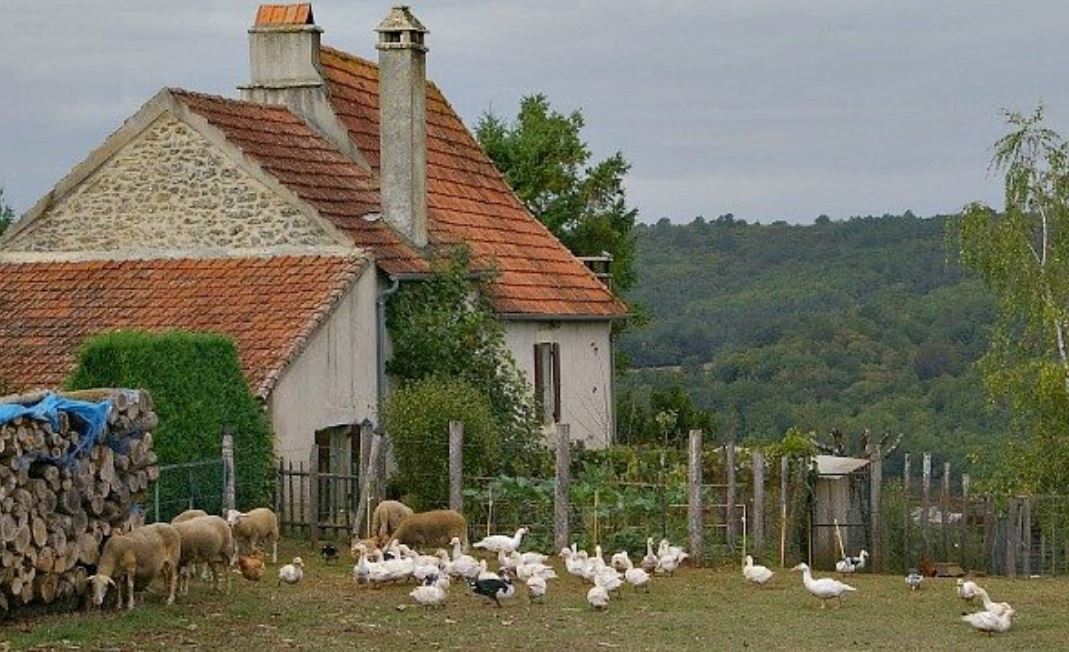 small farm france ISN small farm france ISN