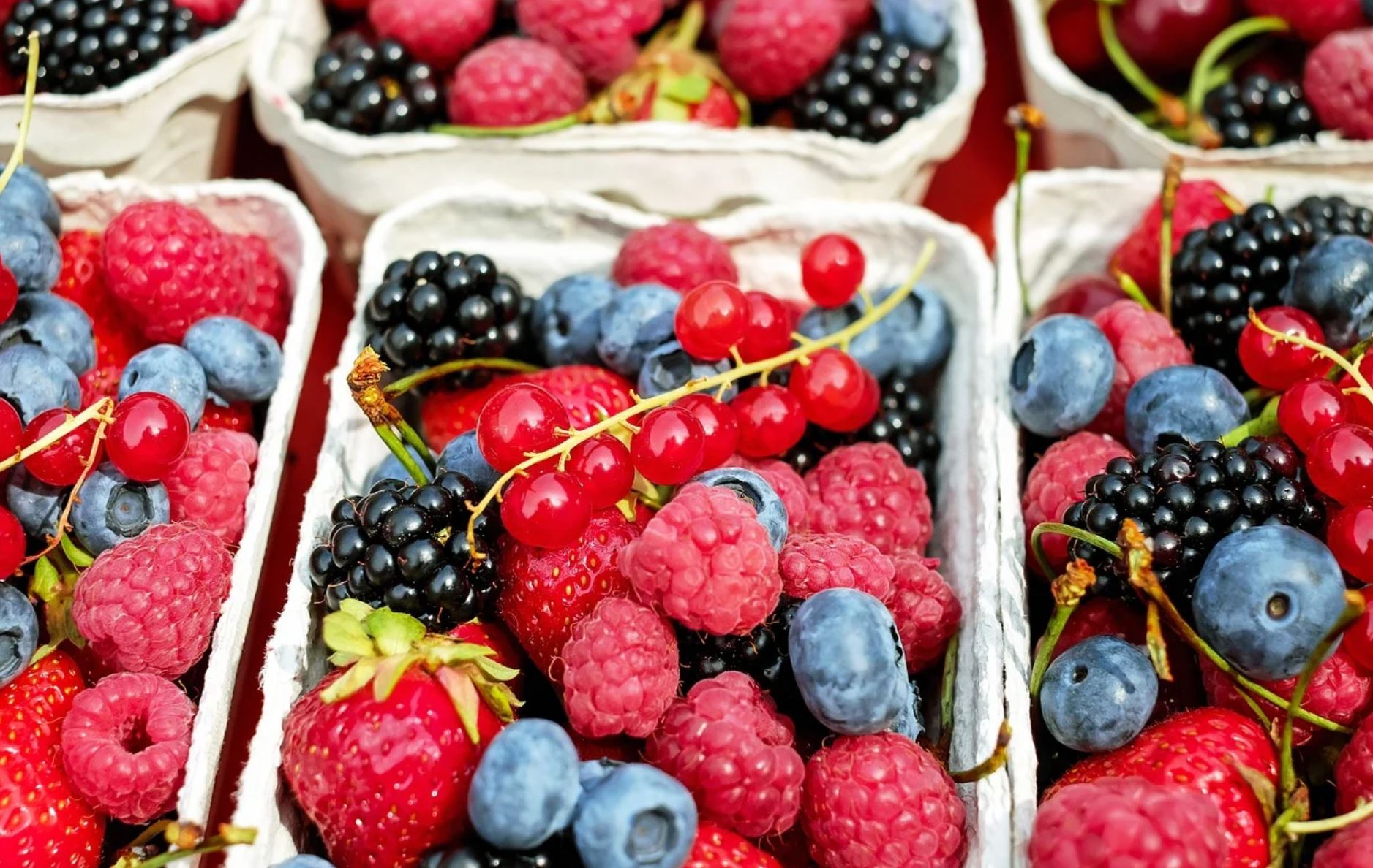berries pix berries pix