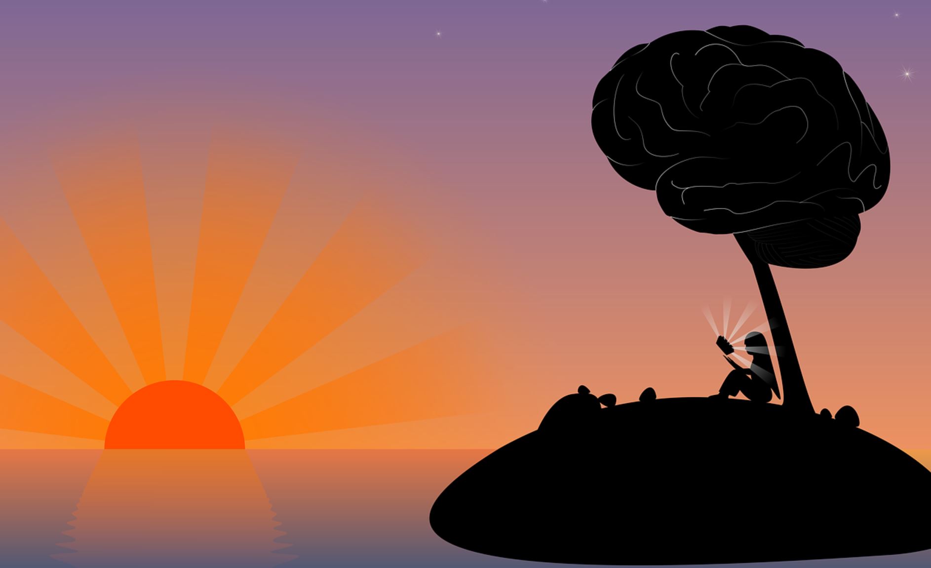 brain meditation