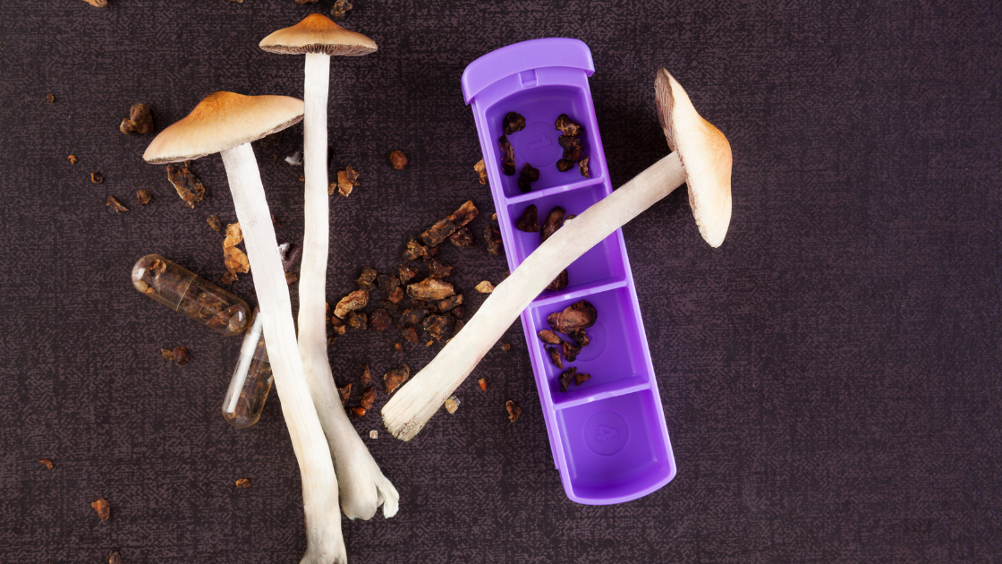 psychedelics depression study psychedelics depression study