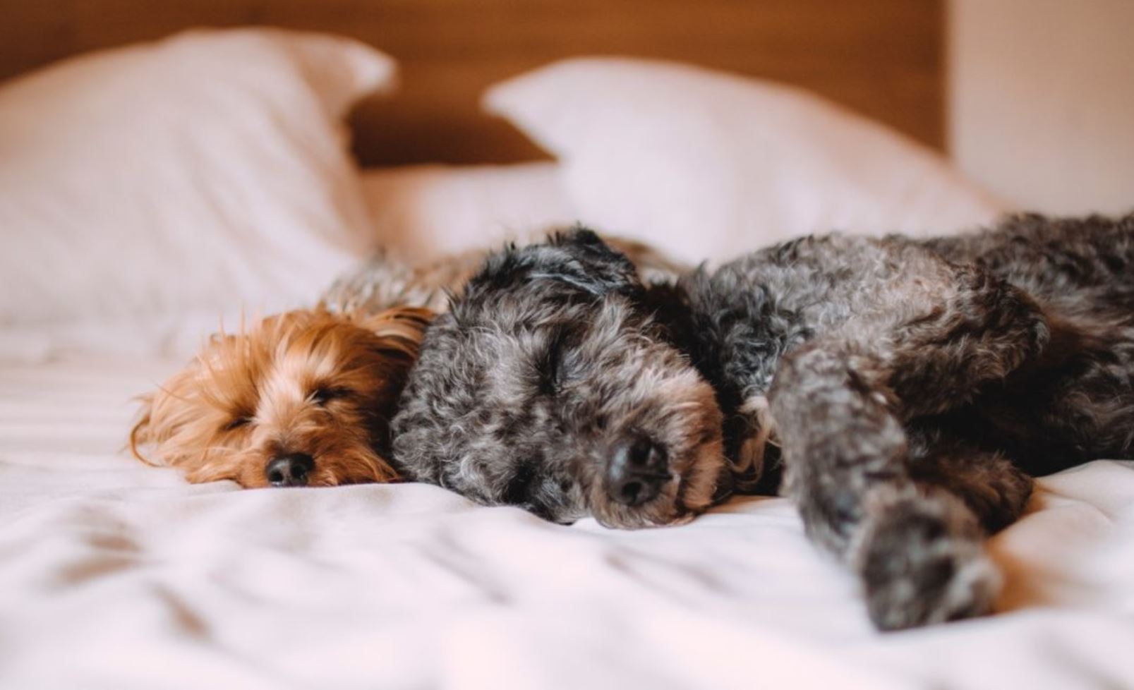 sleep lib sleep lib