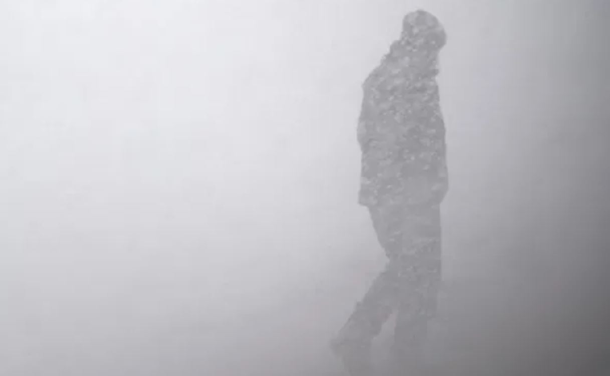 survival winter op survival winter op