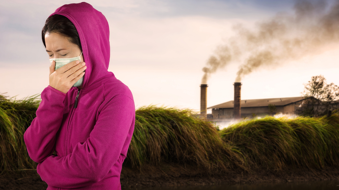 air pollution student test scores