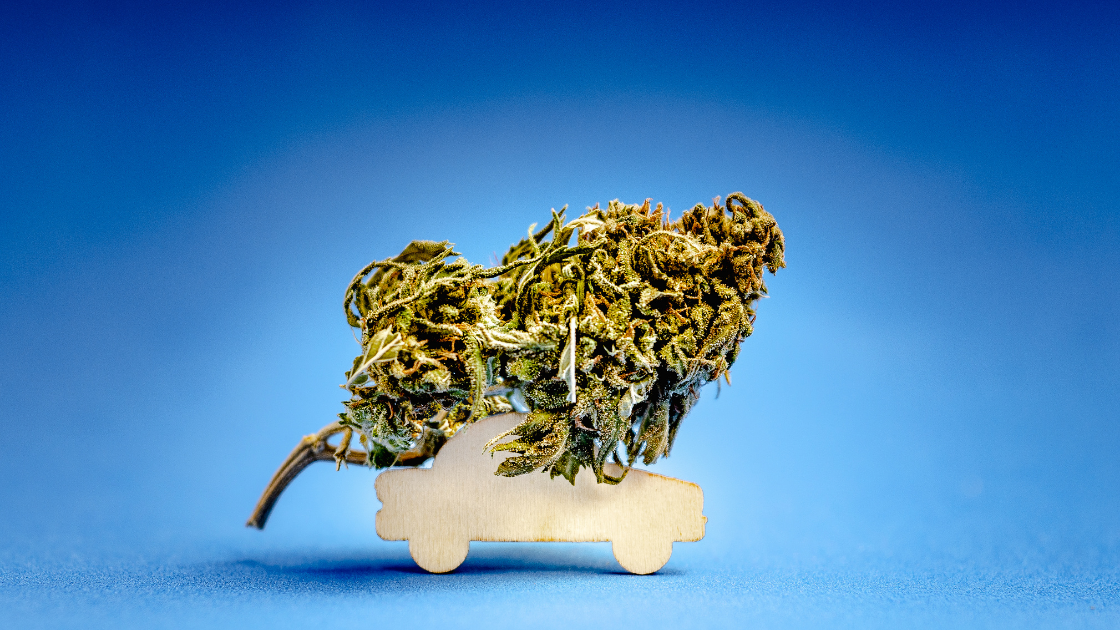cannabis driving