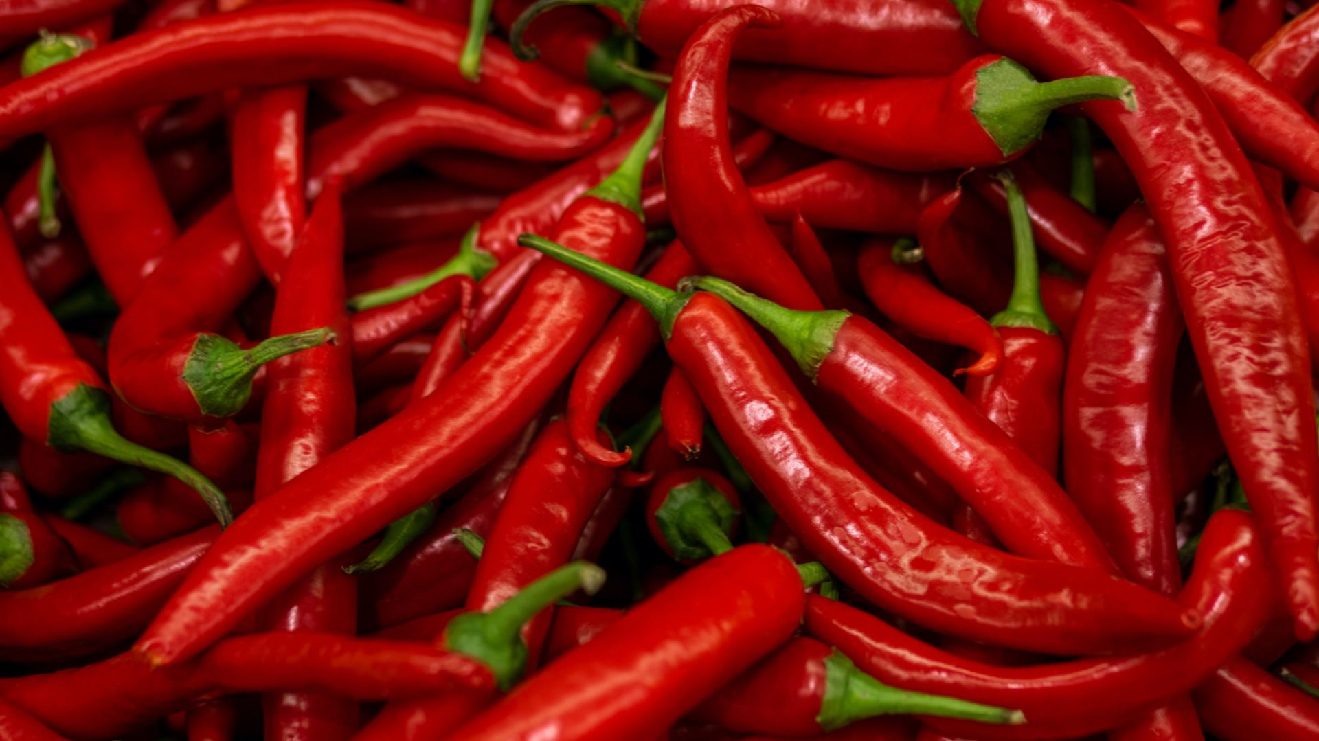 chilli