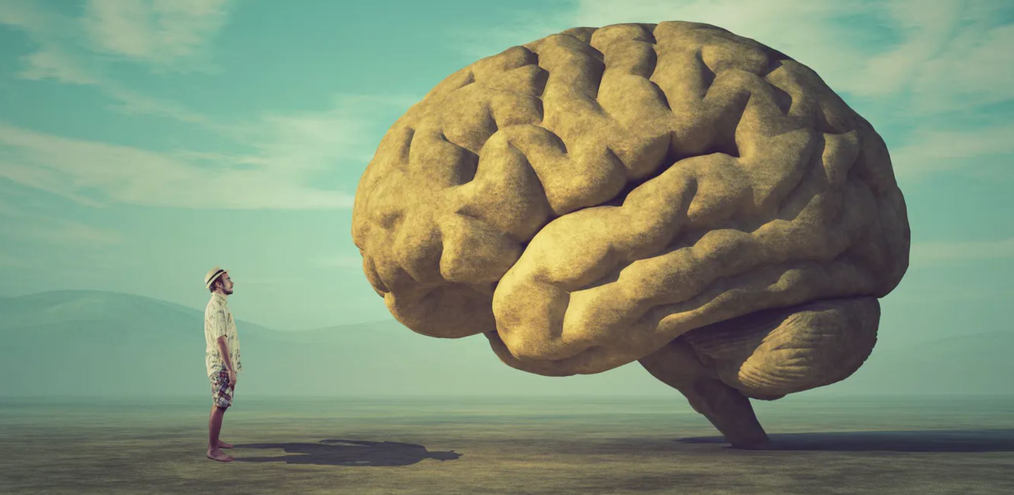 consciousness conversation