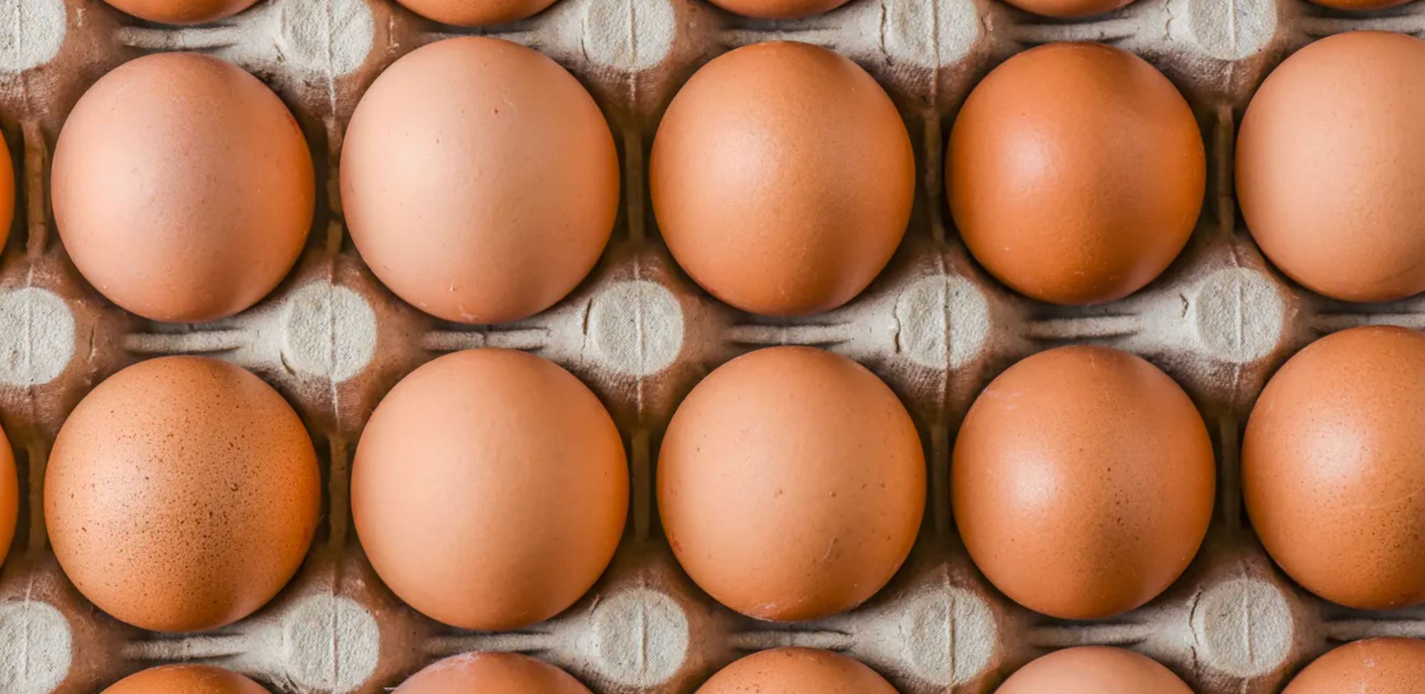 eggs conversation