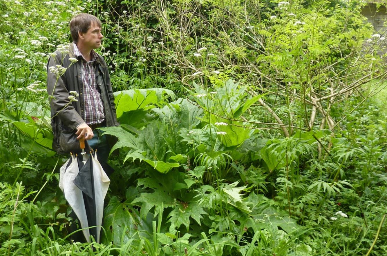 food forest roundfield