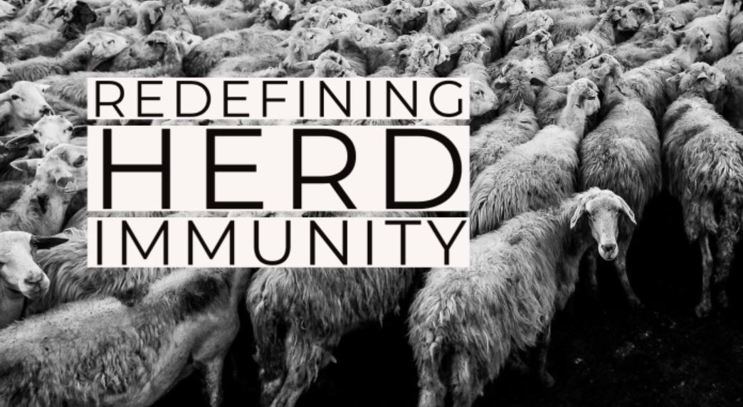 herd immunity noh herd immunity noh