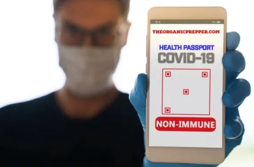 immunity pass op immunity pass op