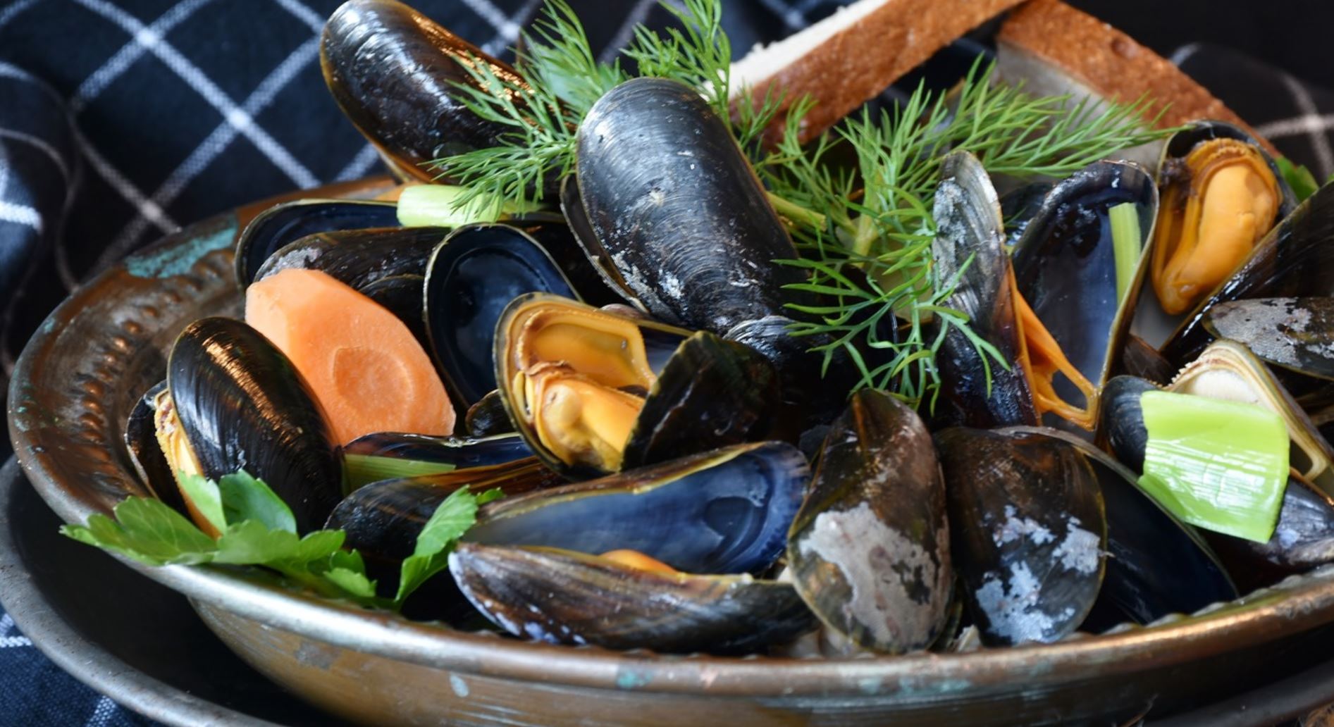 mussels pix