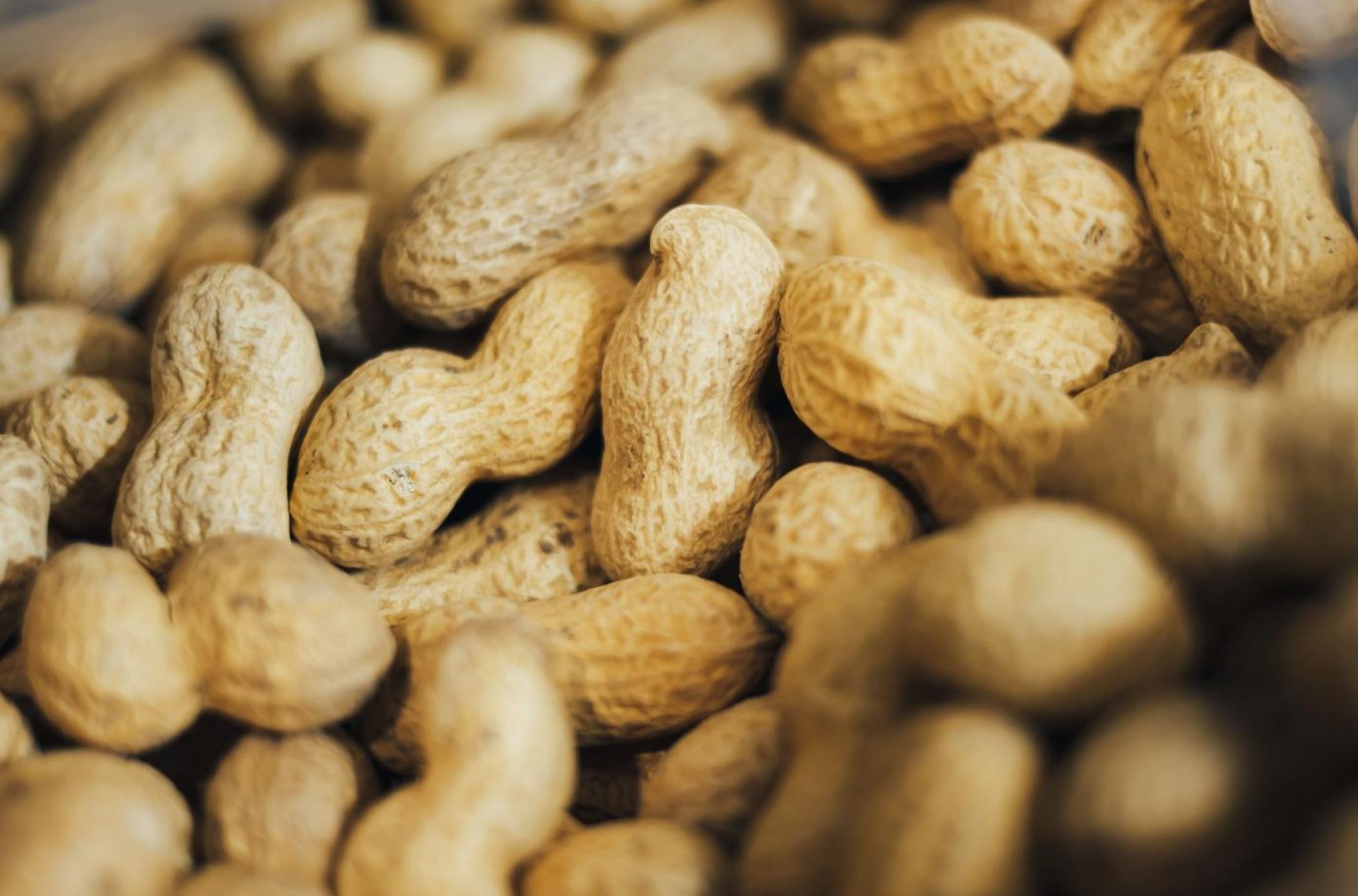 peanuts eurek peanuts eurek