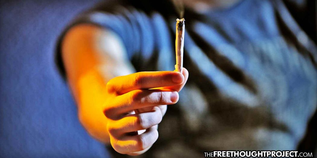 cannabis-overdose-1050x525 cannabis-overdose-1050x525