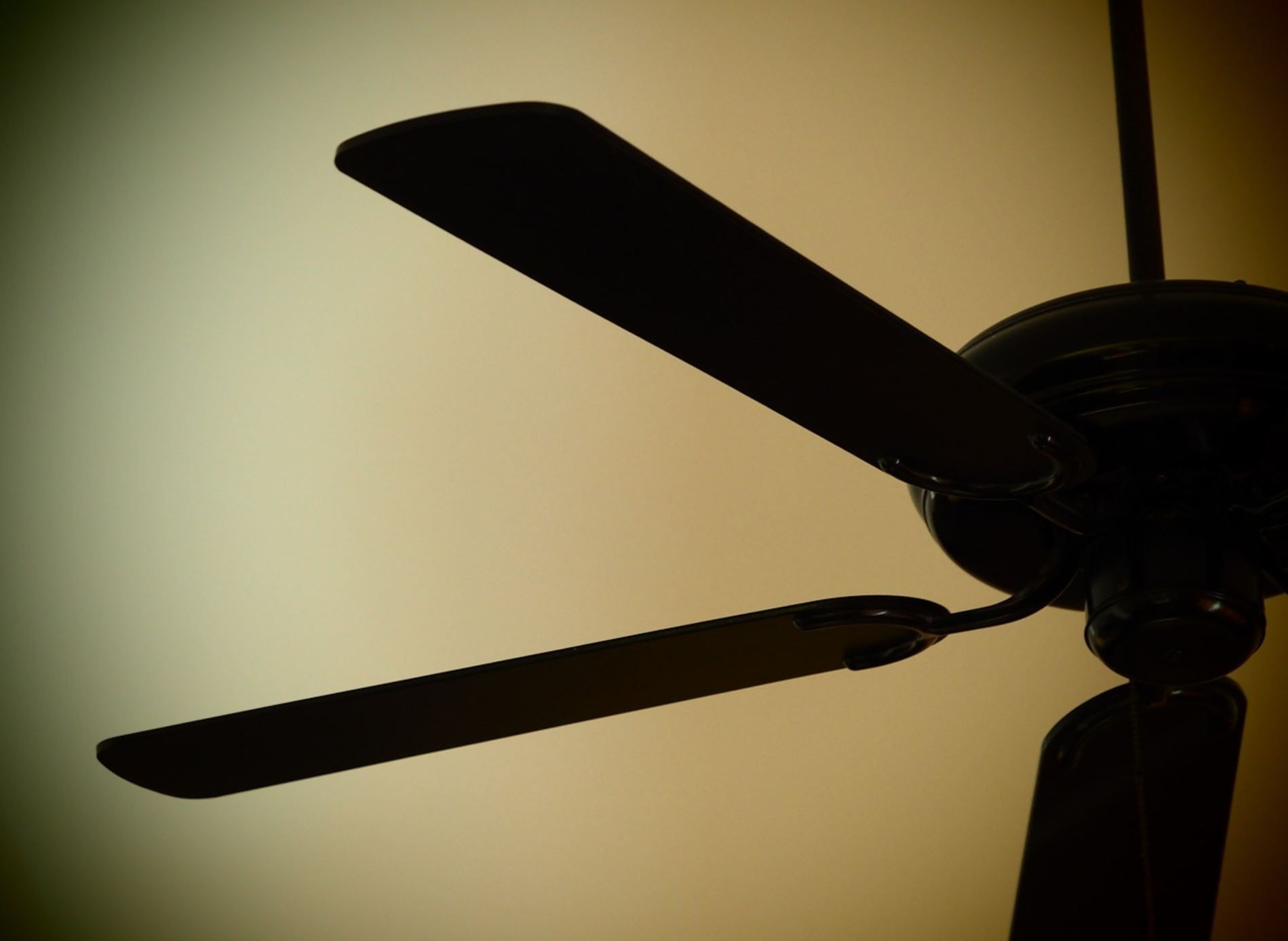 ceiling fan pix ceiling fan pix
