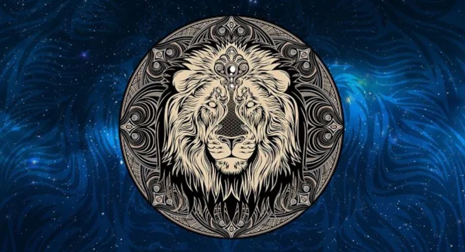 dmt tt