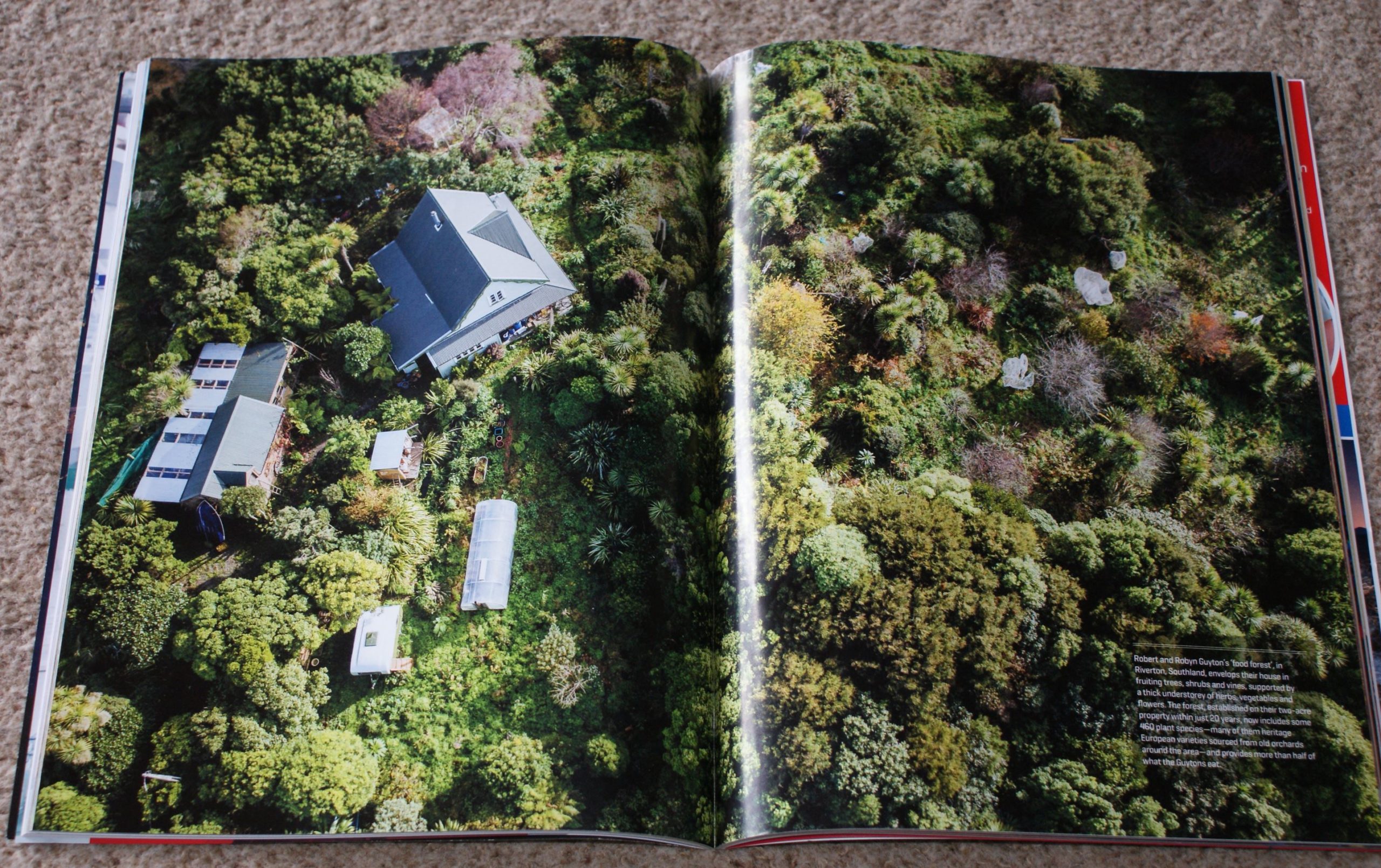 food forest