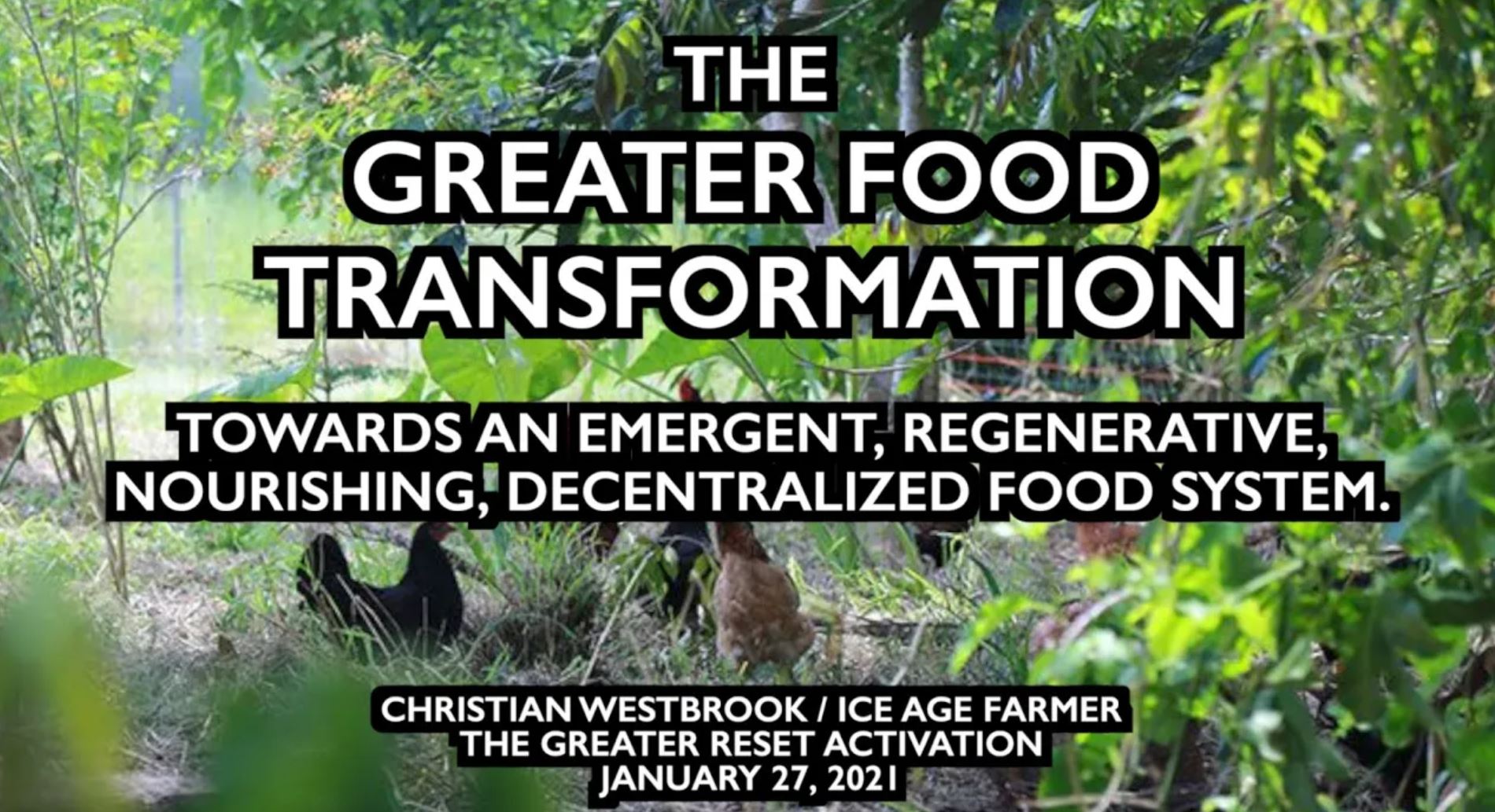 food transformation food transformation